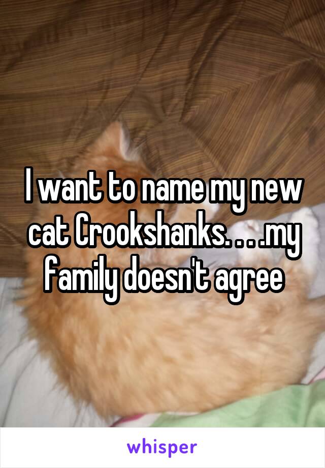I want to name my new cat Crookshanks. . . .my family doesn't agree