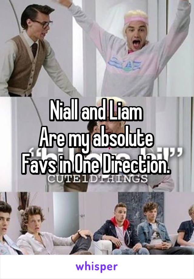 Niall and Liam 
Are my absolute 
Favs in One Direction. 