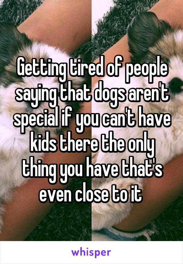 Getting tired of people saying that dogs aren't special if you can't have kids there the only thing you have that's even close to it 