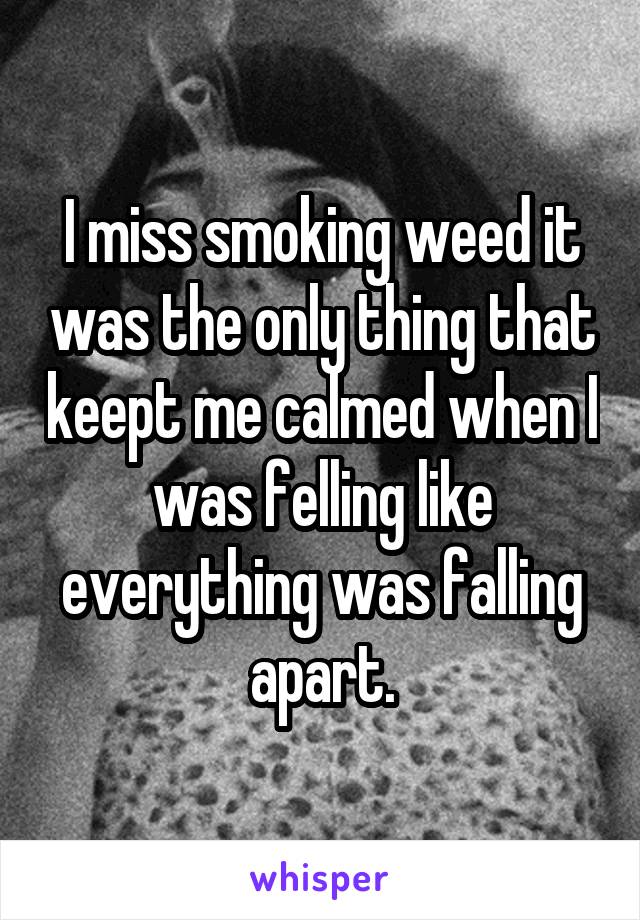 I miss smoking weed it was the only thing that keept me calmed when I was felling like everything was falling apart.