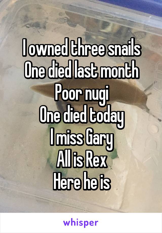 I owned three snails
One died last month
Poor nugi
One died today
I miss Gary
All is Rex
Here he is