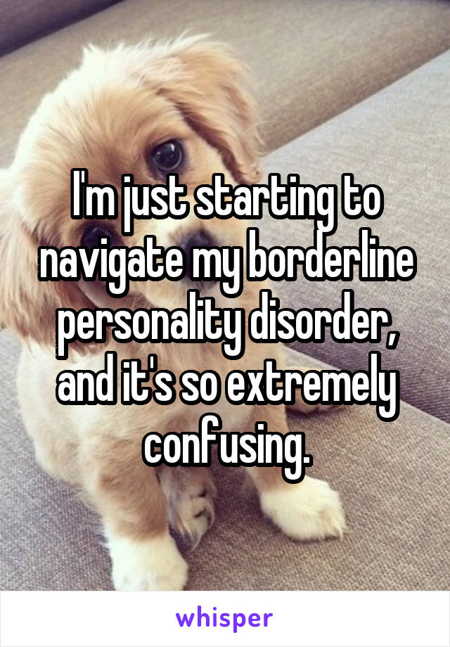 I'm just starting to navigate my borderline personality disorder, and it's so extremely confusing.