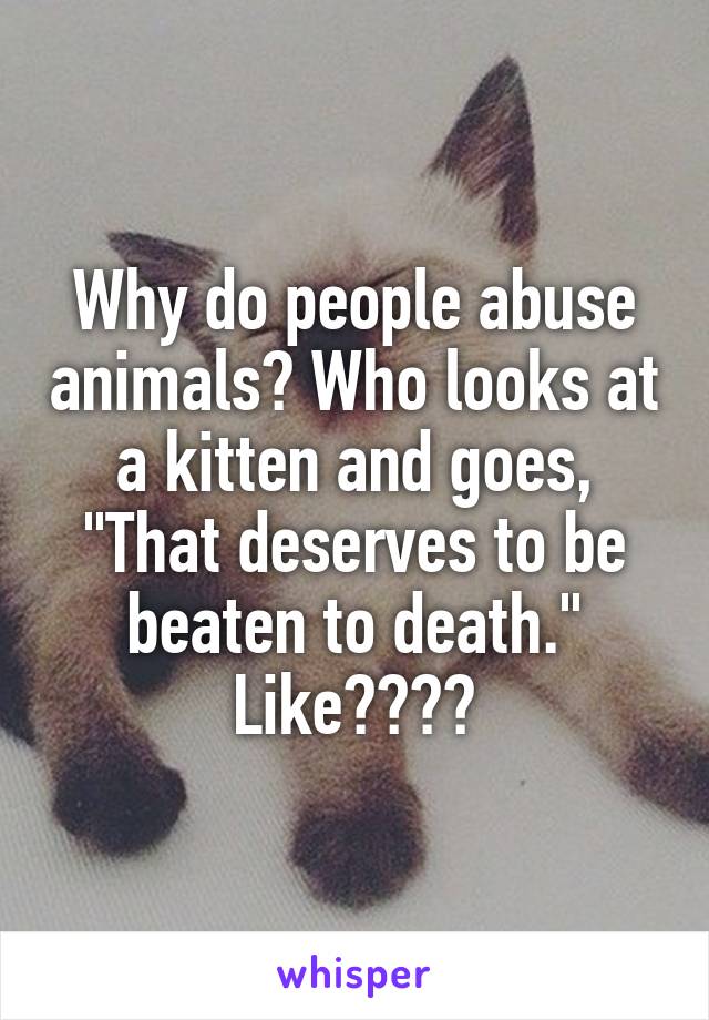 Why do people abuse animals? Who looks at a kitten and goes, "That deserves to be beaten to death." Like????