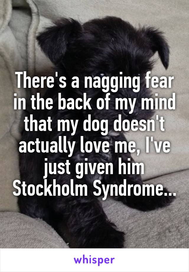 There's a nagging fear in the back of my mind that my dog doesn't actually love me, I've just given him Stockholm Syndrome...