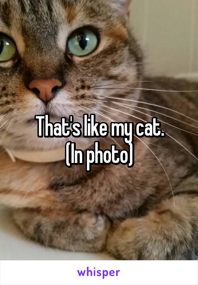 That's like my cat.
(In photo)