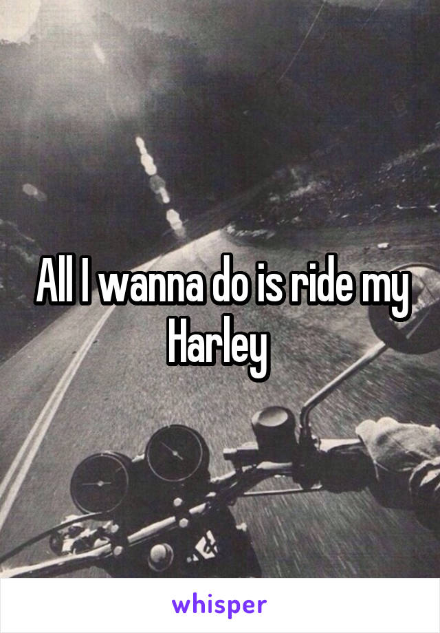 All I wanna do is ride my Harley 