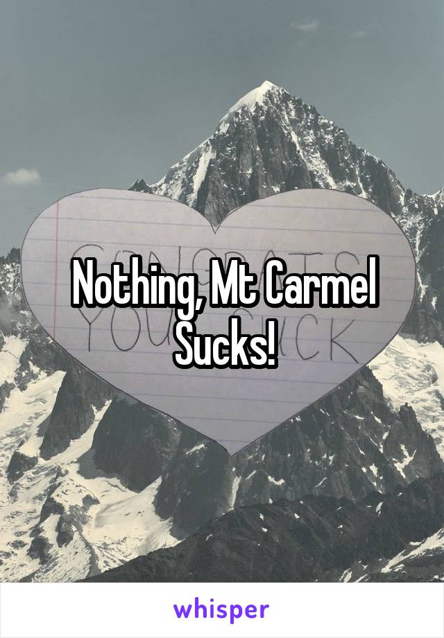 Nothing, Mt Carmel Sucks!