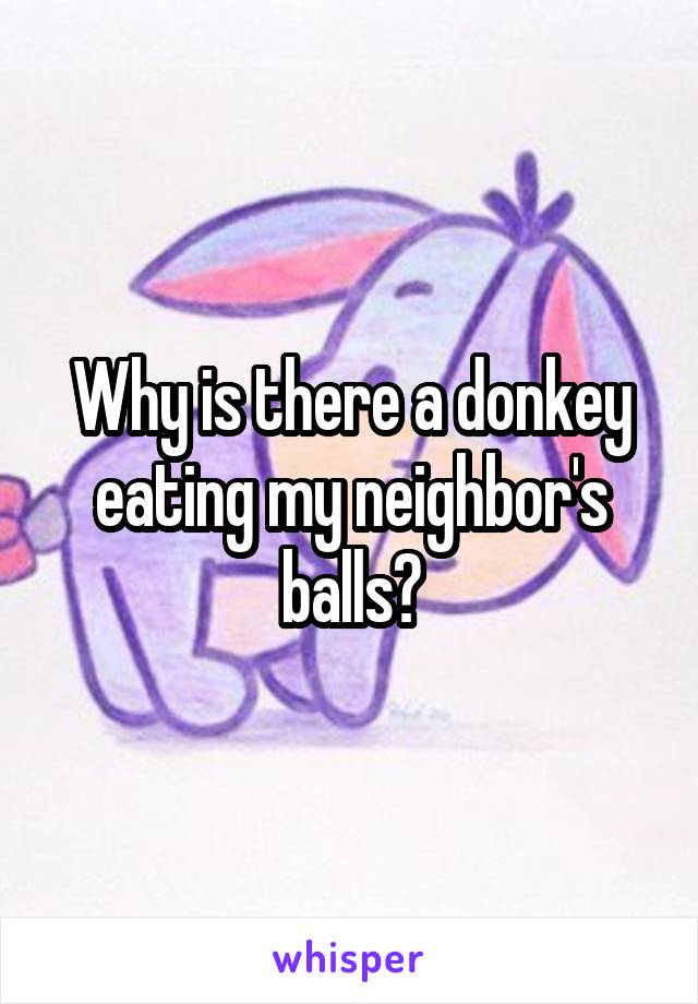 Why is there a donkey eating my neighbor's balls?
