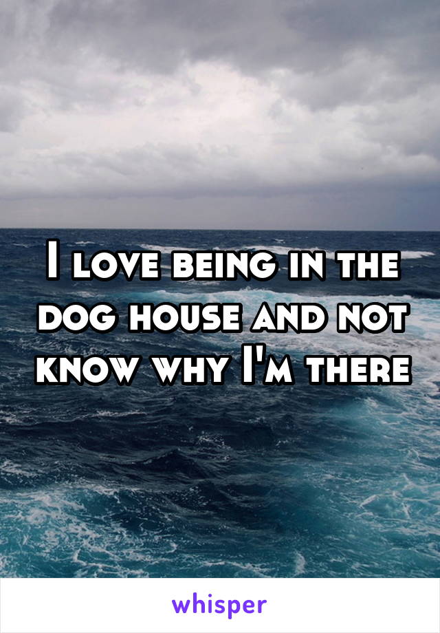 I love being in the dog house and not know why I'm there