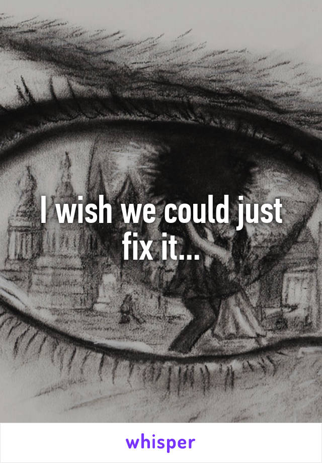 I wish we could just fix it...