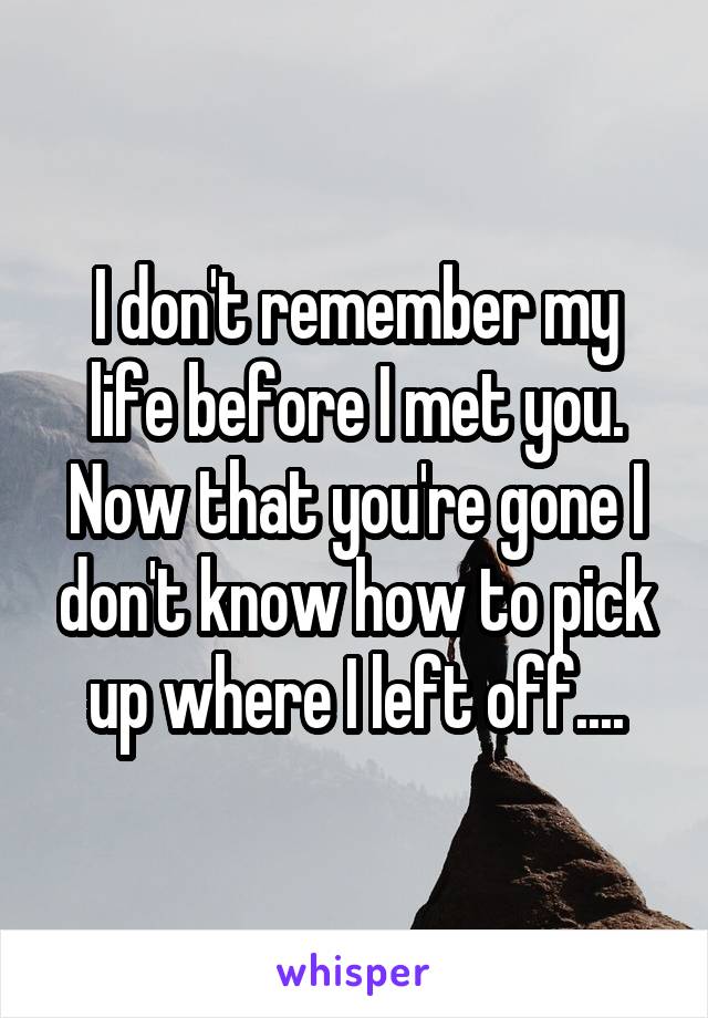 I don't remember my life before I met you. Now that you're gone I don't know how to pick up where I left off....