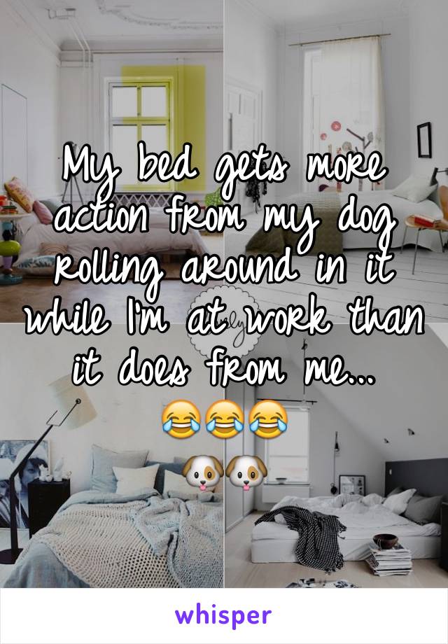 My bed gets more action from my dog rolling around in it while I'm at work than it does from me... 
😂😂😂
🐶🐶