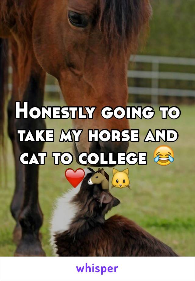 Honestly going to take my horse and cat to college 😂❤️🐴🐱