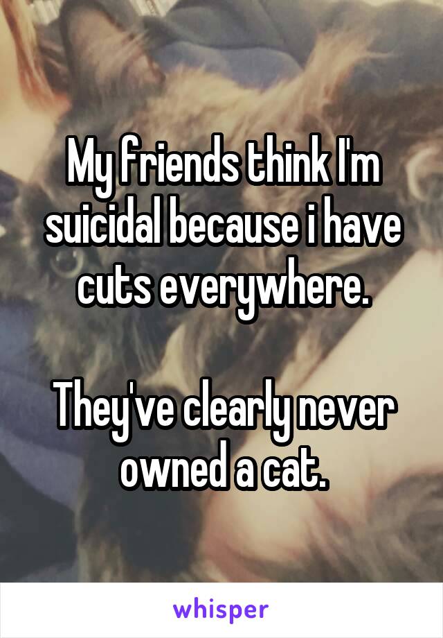 My friends think I'm suicidal because i have cuts everywhere.

They've clearly never owned a cat.