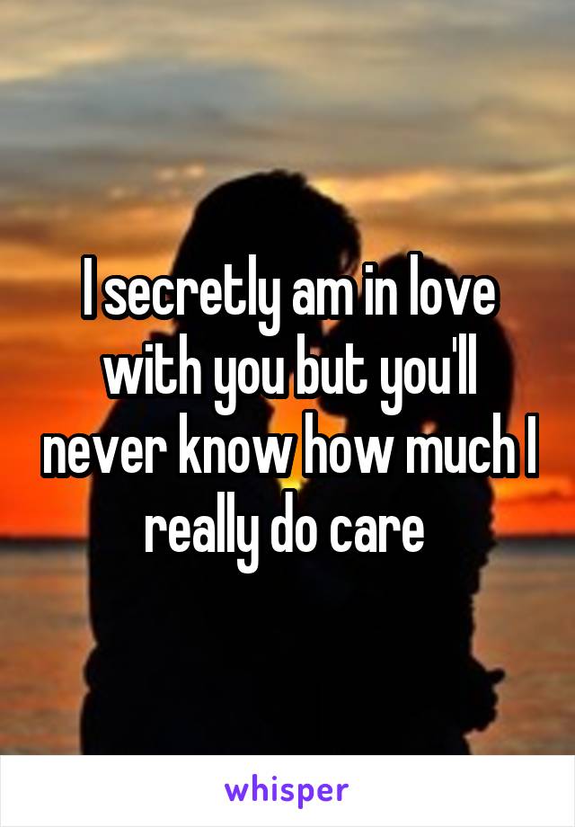 I secretly am in love with you but you'll never know how much I really do care 