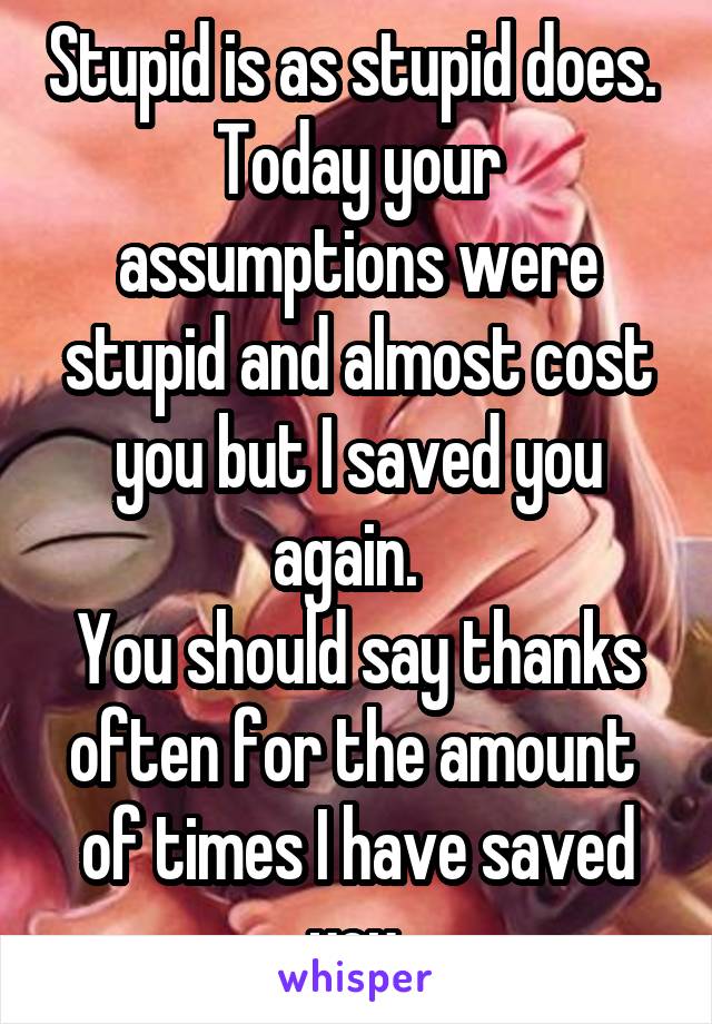 Stupid is as stupid does.  Today your assumptions were stupid and almost cost you but I saved you again.  
You should say thanks often for the amount  of times I have saved you.