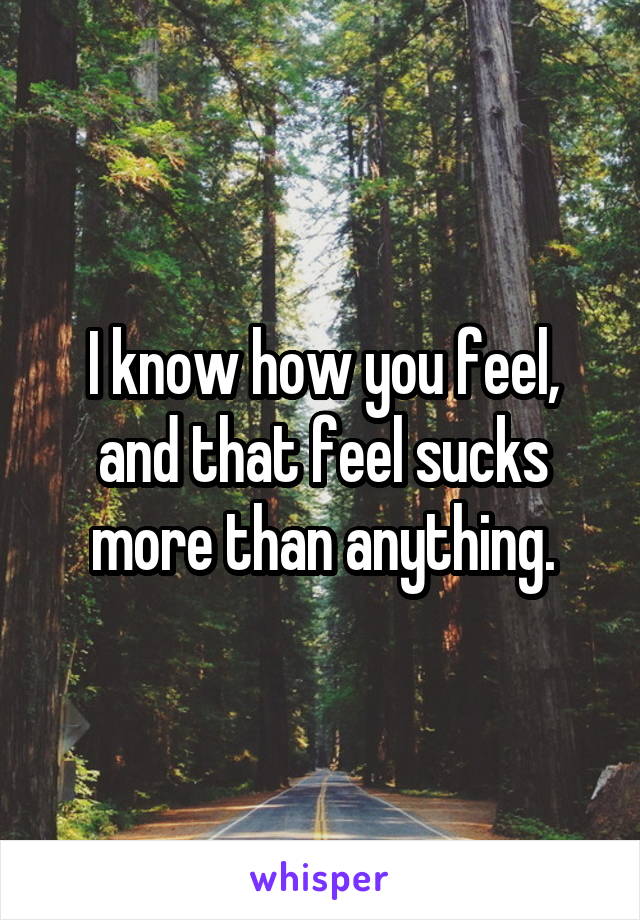 I know how you feel, and that feel sucks more than anything.