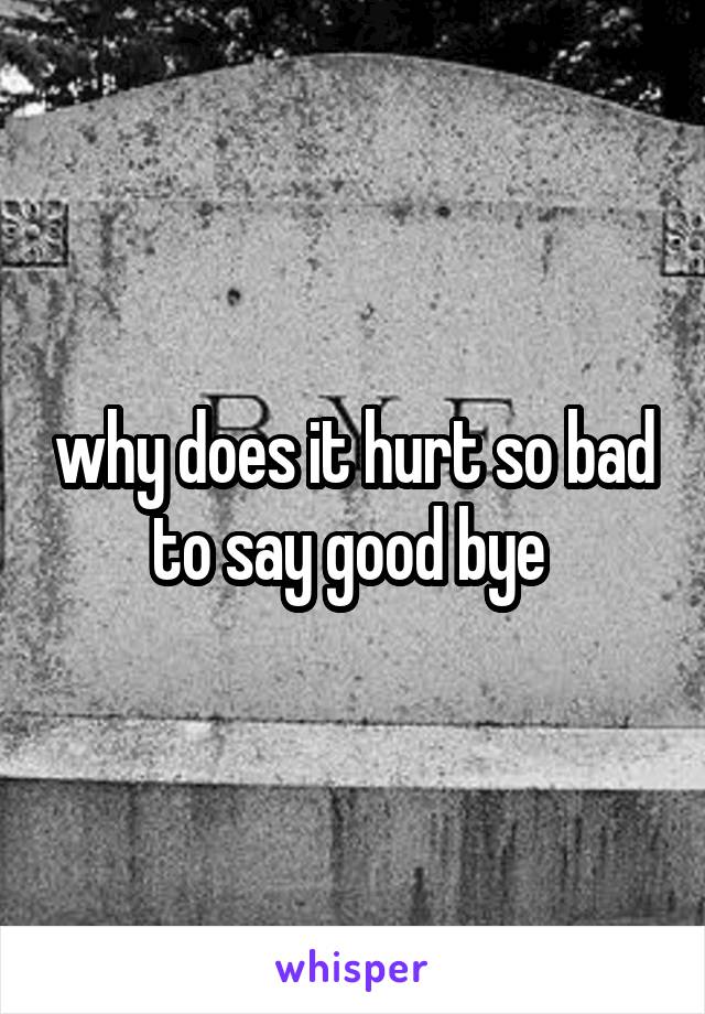 why does it hurt so bad to say good bye 