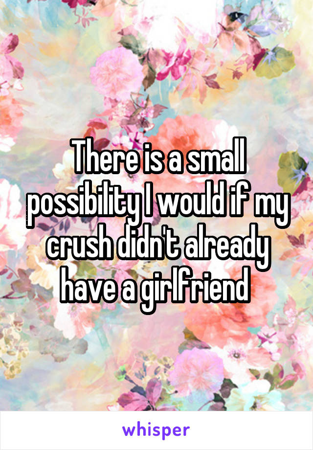There is a small possibility I would if my crush didn't already have a girlfriend 