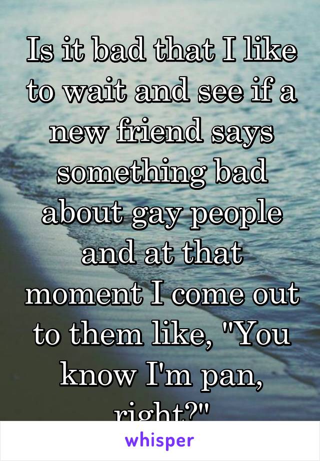 Is it bad that I like to wait and see if a new friend says something bad about gay people and at that moment I come out to them like, "You know I'm pan, right?"
