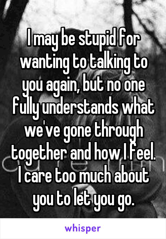I may be stupid for wanting to talking to you again, but no one fully understands what we've gone through together and how I feel. I care too much about you to let you go.