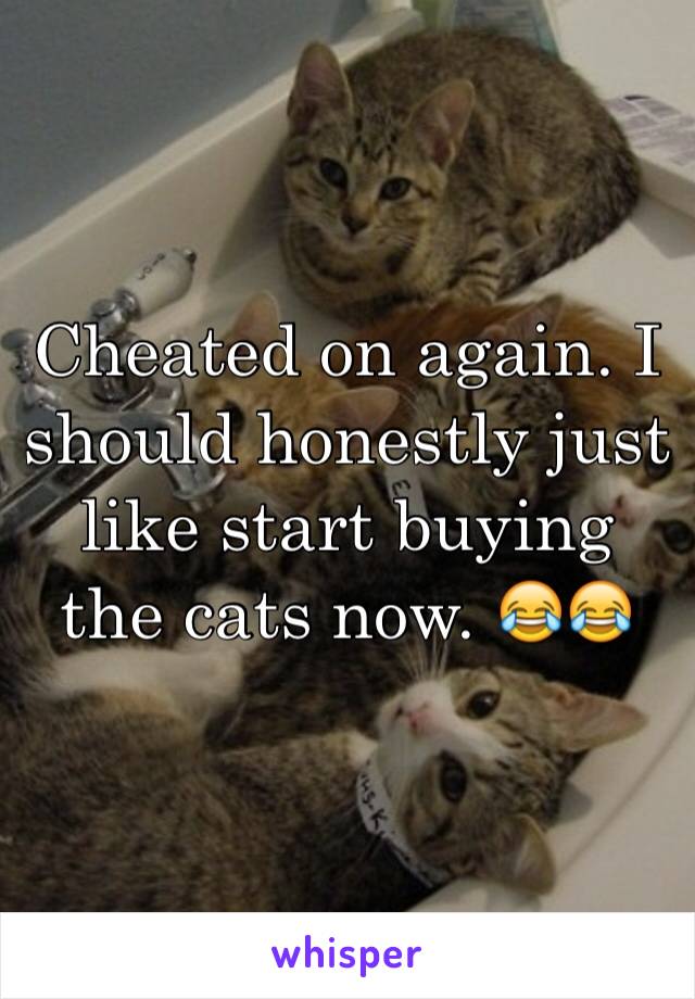 Cheated on again. I should honestly just like start buying the cats now. 😂😂