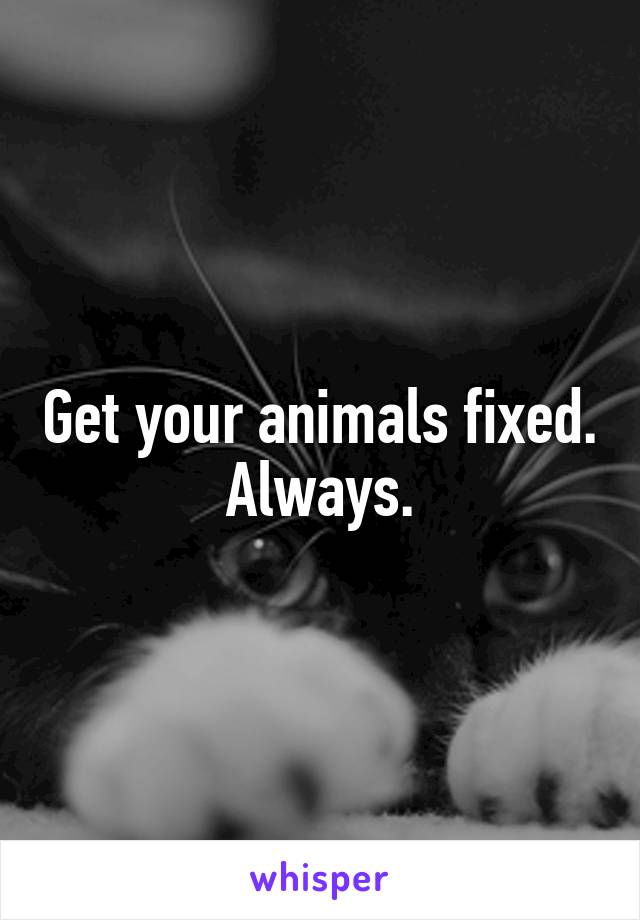 Get your animals fixed.
Always.