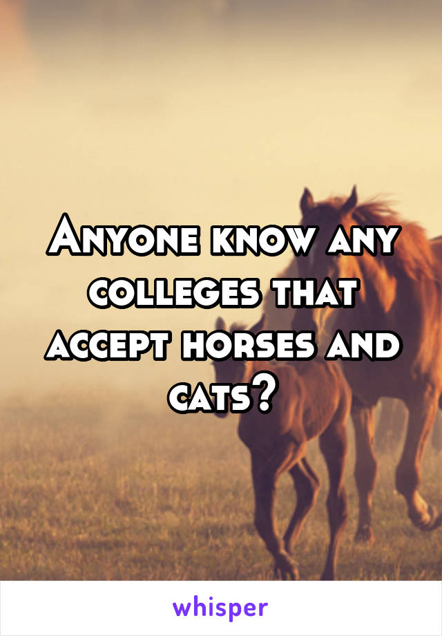Anyone know any colleges that accept horses and cats?