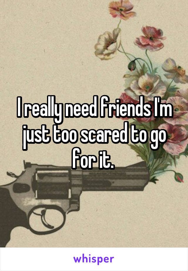 I really need friends I'm just too scared to go for it. 