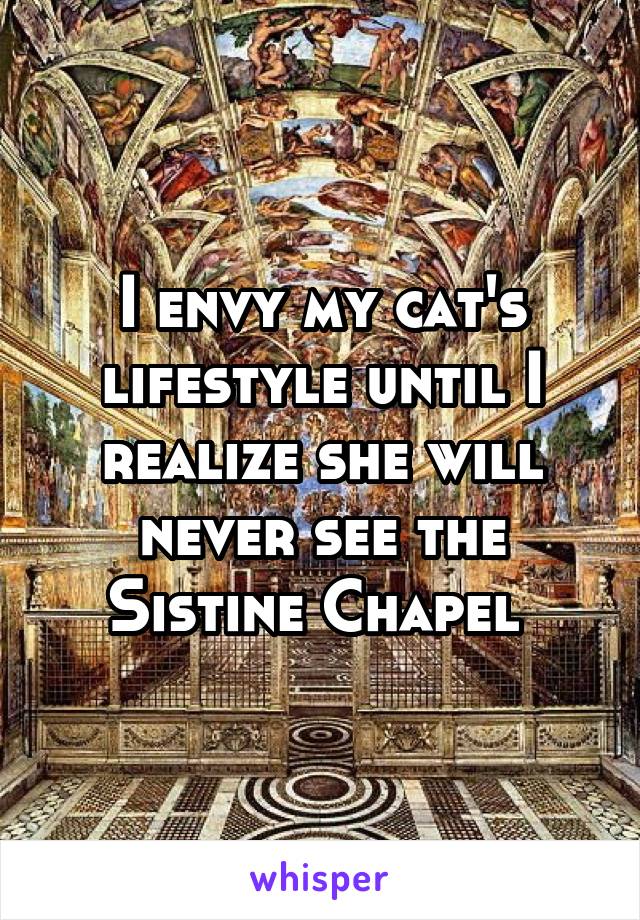 I envy my cat's lifestyle until I realize she will never see the Sistine Chapel 