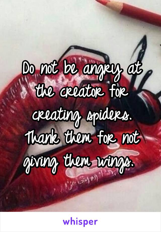 Do not be angry at the creator for creating spiders. Thank them for not giving them wings. 