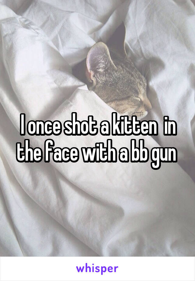 I once shot a kitten  in the face with a bb gun 