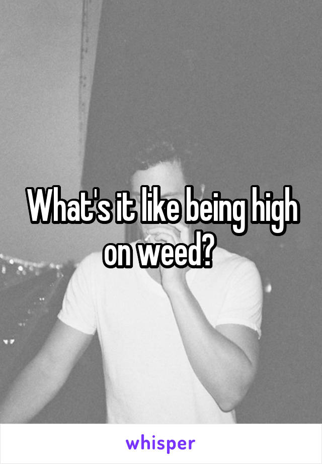 What's it like being high on weed? 