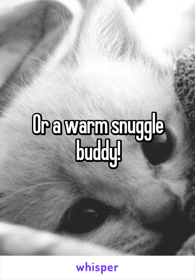 Or a warm snuggle buddy!