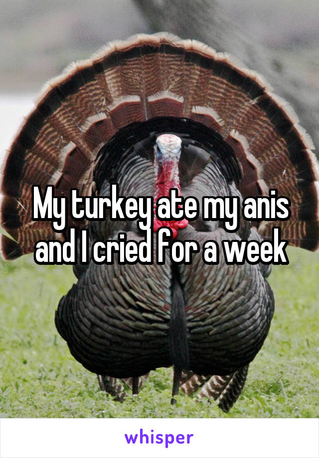 My turkey ate my anis and I cried for a week