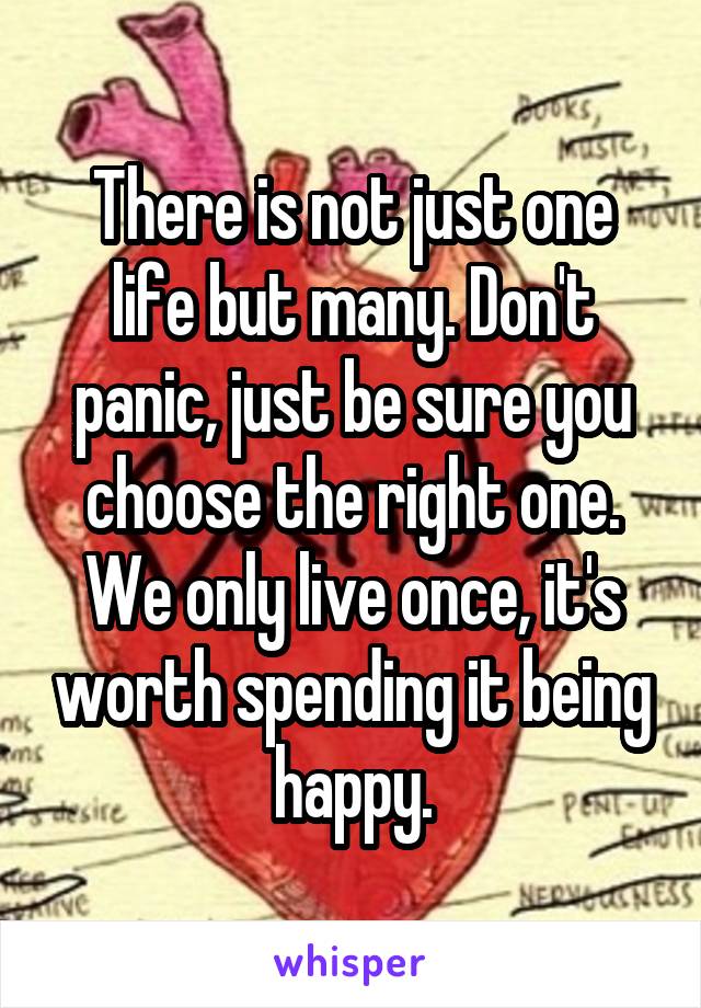 There is not just one life but many. Don't panic, just be sure you choose the right one. We only live once, it's worth spending it being happy.
