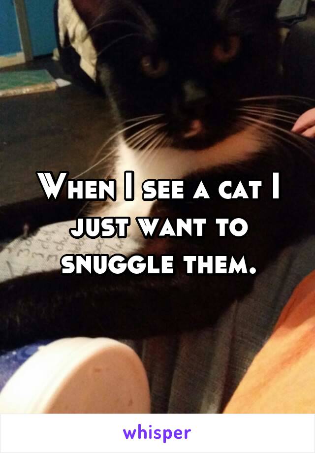 When I see a cat I just want to snuggle them.