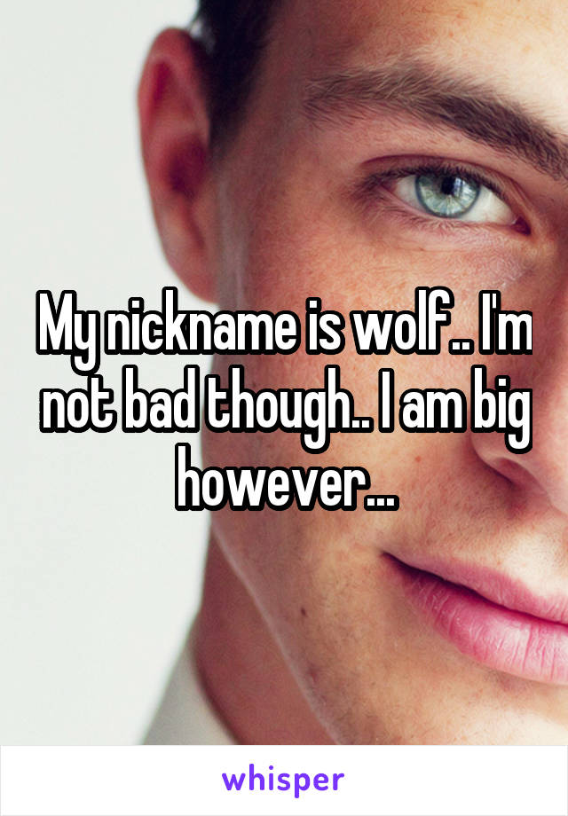 My nickname is wolf.. I'm not bad though.. I am big however...