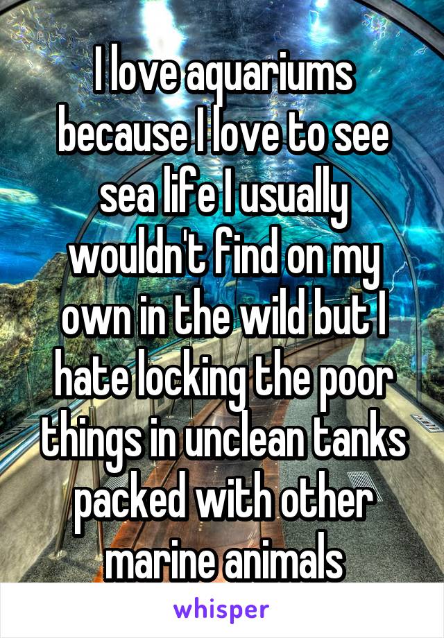I love aquariums because I love to see sea life I usually wouldn't find on my own in the wild but I hate locking the poor things in unclean tanks packed with other marine animals