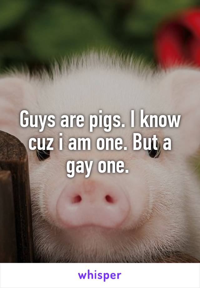 Guys are pigs. I know cuz i am one. But a gay one. 