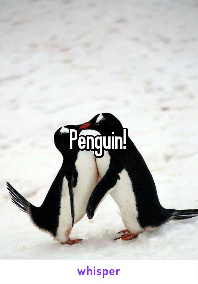 Penguin! 