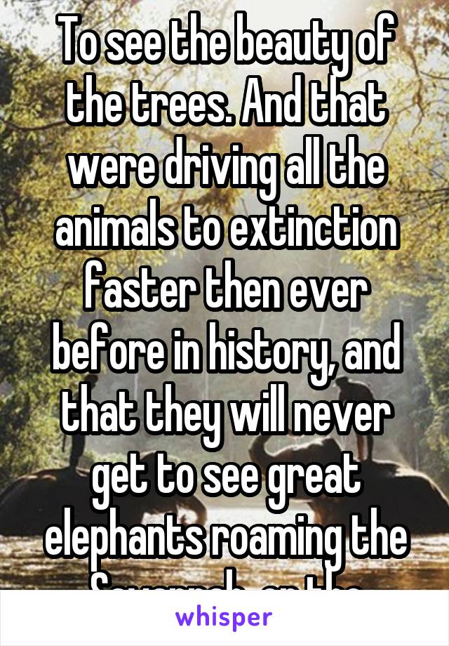 To see the beauty of the trees. And that were driving all the animals to extinction faster then ever before in history, and that they will never get to see great elephants roaming the Savannah, or the