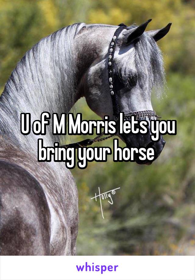 U of M Morris lets you bring your horse 