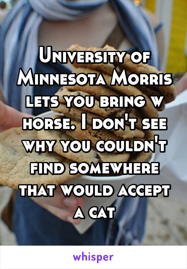 University of Minnesota Morris lets you bring w horse. I don't see why you couldn't find somewhere that would accept a cat