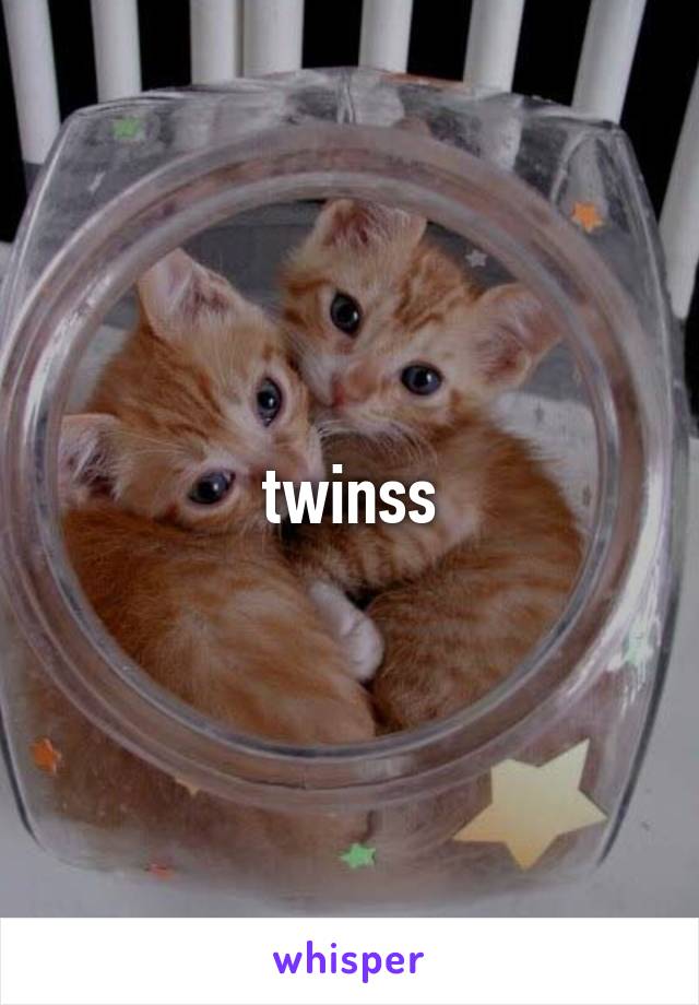 twinss