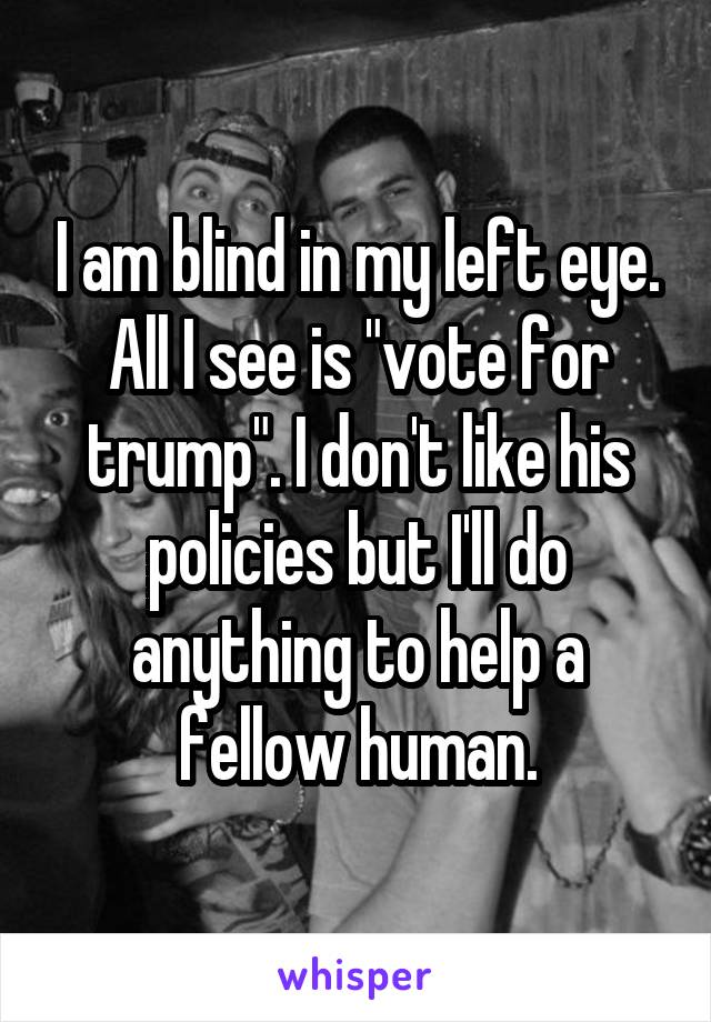 I am blind in my left eye. All I see is "vote for trump". I don't like his policies but I'll do anything to help a fellow human.