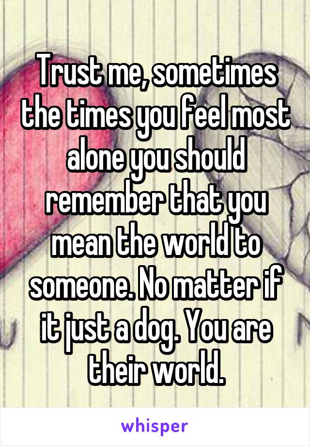 Trust me, sometimes the times you feel most alone you should remember that you mean the world to someone. No matter if it just a dog. You are their world.