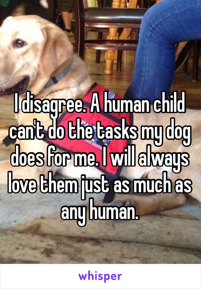 I disagree. A human child can't do the tasks my dog does for me. I will always love them just as much as any human. 