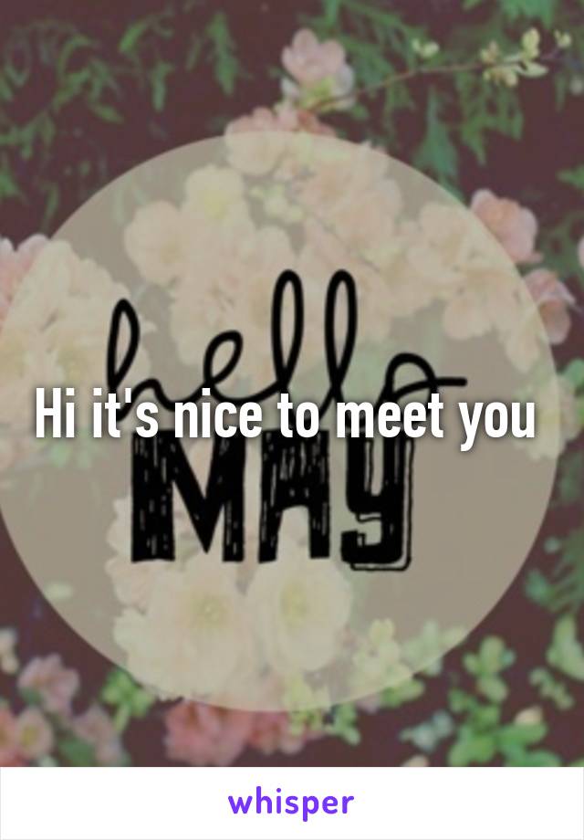 Hi it's nice to meet you 