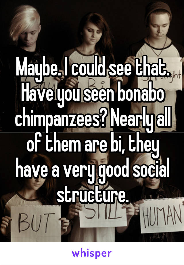 Maybe. I could see that. Have you seen bonabo chimpanzees? Nearly all of them are bi, they have a very good social structure.
